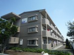 (外観) (外観)