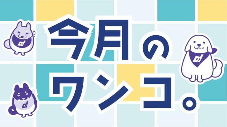 今月のワンコ。【2025/4】