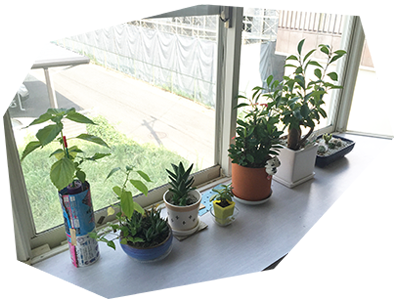 植物を育てるのが好きな宮下さんらしい!